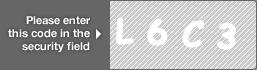 captcha code for visual authentication  letter L number 6 letter C number 3